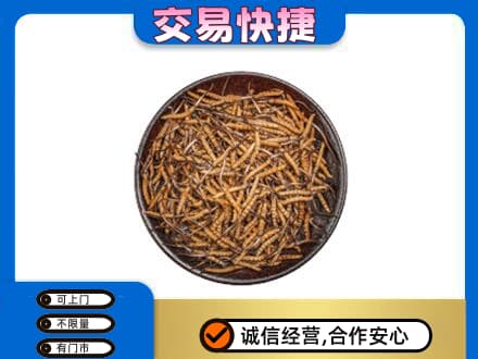 嘉峪关金川区回收散虫草